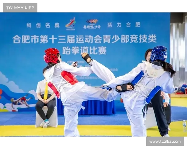 跆拳道顶尖赛事,跆拳道权威比赛